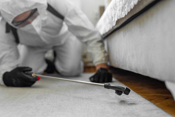Professional Bed Bug Control technician working in Mendocino County County, CA